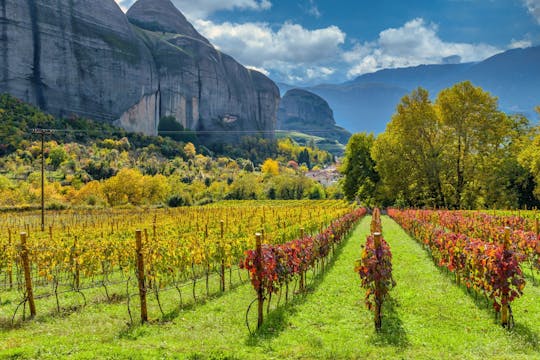 Tour privado de comida y vino en Meteora