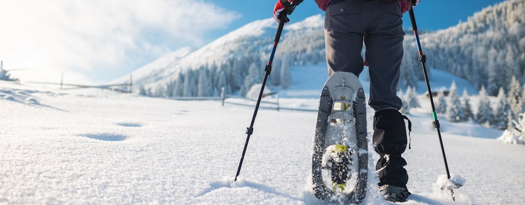 Half-day snowshoeing experience on Mount Etna