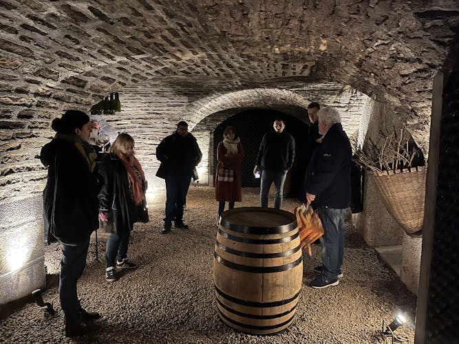 Day tour in Burgundy with 10 wines tasting at local wineries