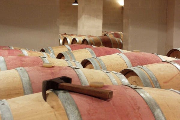 Rondleiding door kastelen en terroirs op de wijnroutes van Bordeaux