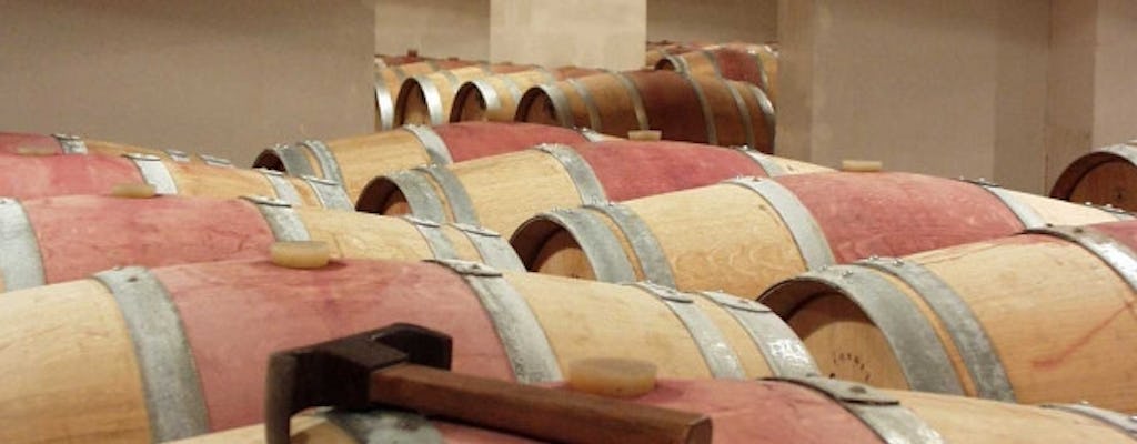 Visita guiada a castillos y terroirs en las rutas del vino de Burdeos