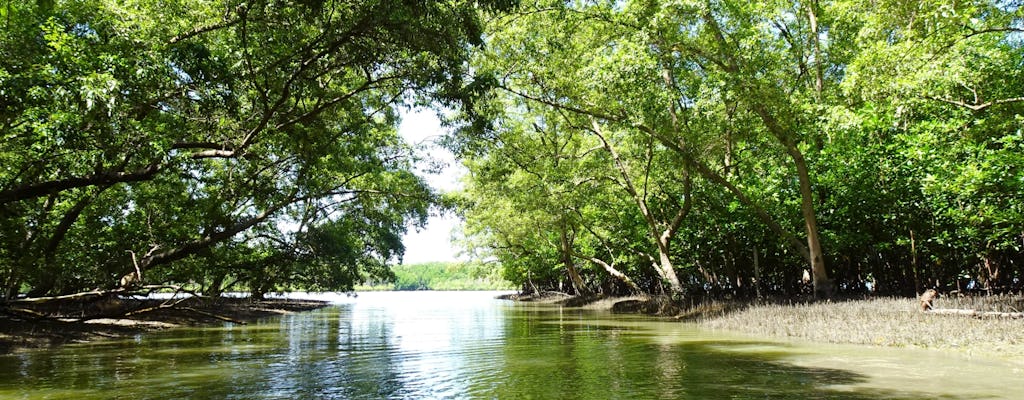 Bezoek aan het Mangrove Forest Conservation Centre