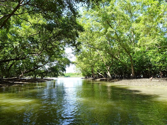 Bezoek aan het Mangrove Forest Conservation Centre