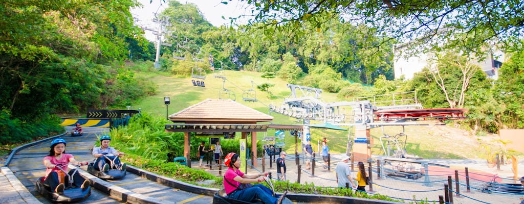 Singapore cable car and Skyline Luge combo ticket