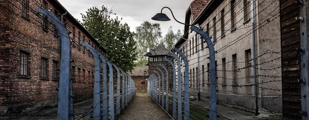 Eintägige Tour nach Auschwitz-Birkenau und zum Salzbergwerk Wieliczka ab Krakau