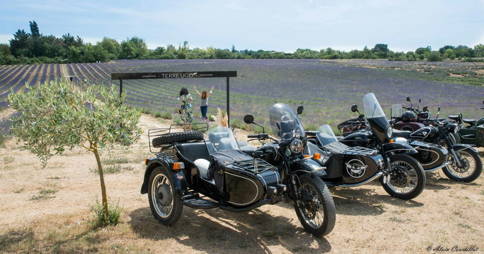 Excursion en side-car rétro dans les champs de lavande et les vignobles au départ d'Aix-en-Provence