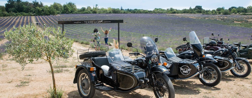 Recorrido vinícola y campos de lavanda retro en sidecar desde Aix-en-Provence