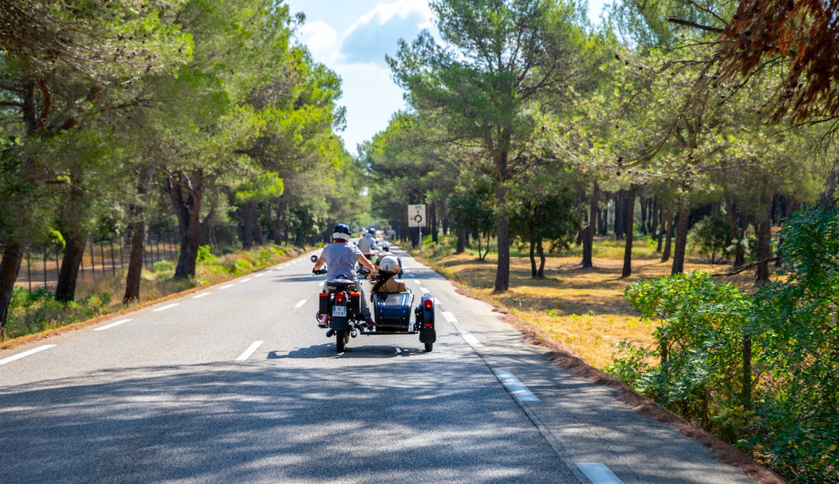 Side car tour of the Luberon vineyards Musement