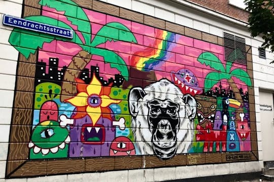Visite privée à pied du street art de Rotterdam