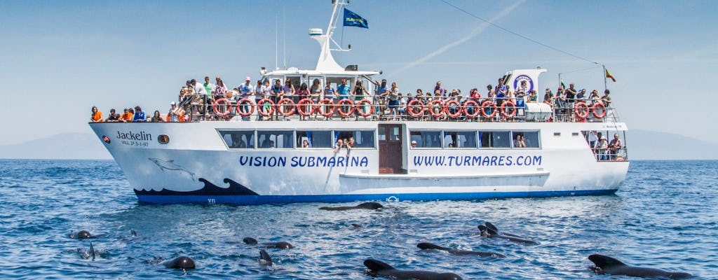 Tour di avvistamento di balene e delfini a Tarifa