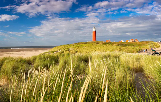 Viagem de um dia à Ilha de Texel com um guia