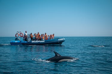Visite guidée d’observation des dauphins en bateau depuis Lagos