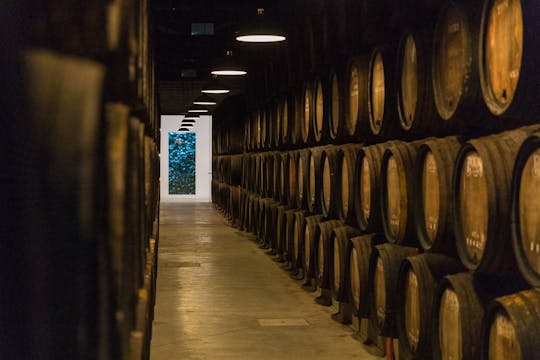 1 hora de prova guiada de vinhos DOC Douro numa adega