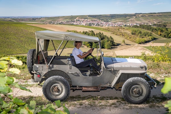 Willys jeep ride in the Chablis vineyard and Chablis tasting