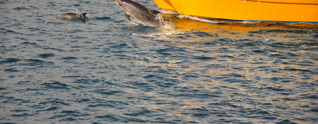 Gibraltar-Tour mit Delfinbeobachtungskreuzfahrt ab Malaga