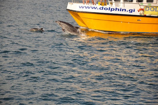 Tour em Gibraltar com cruzeiro para observação de golfinhos saindo de Málaga