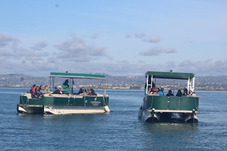 Ria Formosa Natural Park 4 islands tour