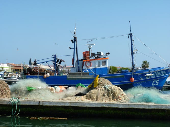 Ria Formosa Natural Park 4 islands tour