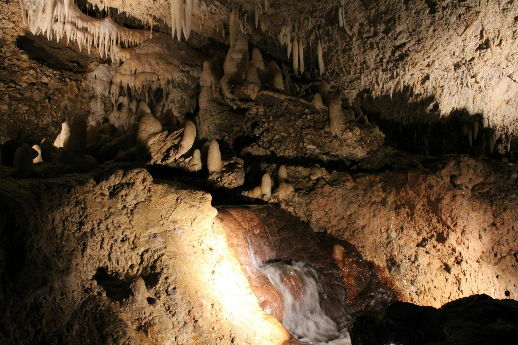 Harrison's Cave Adventure Pass