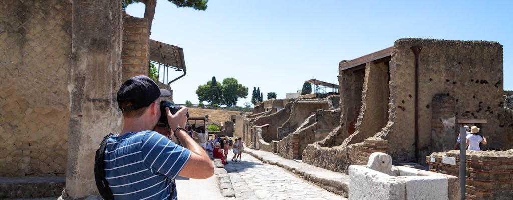 Herculaneum and Vesuvius Skip-the-line Tour with Local Lunch