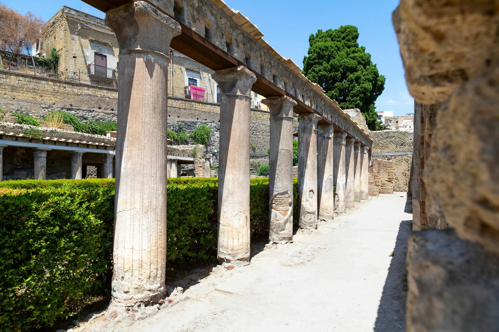 Private tour of Herculaneum and Mount Vesuvius