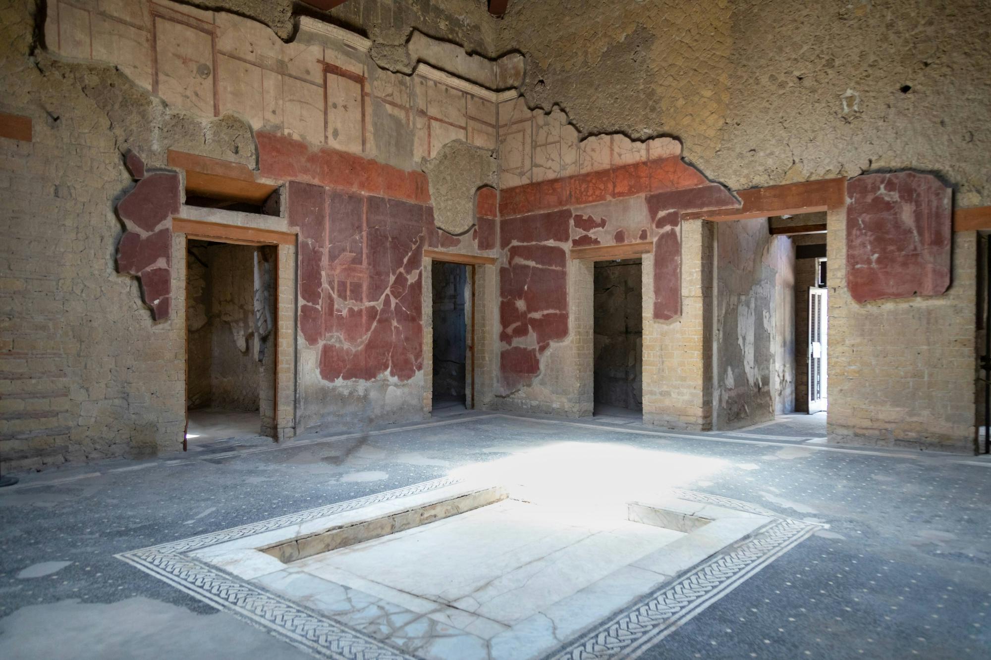 Private tour of Herculaneum and Mount Vesuvius