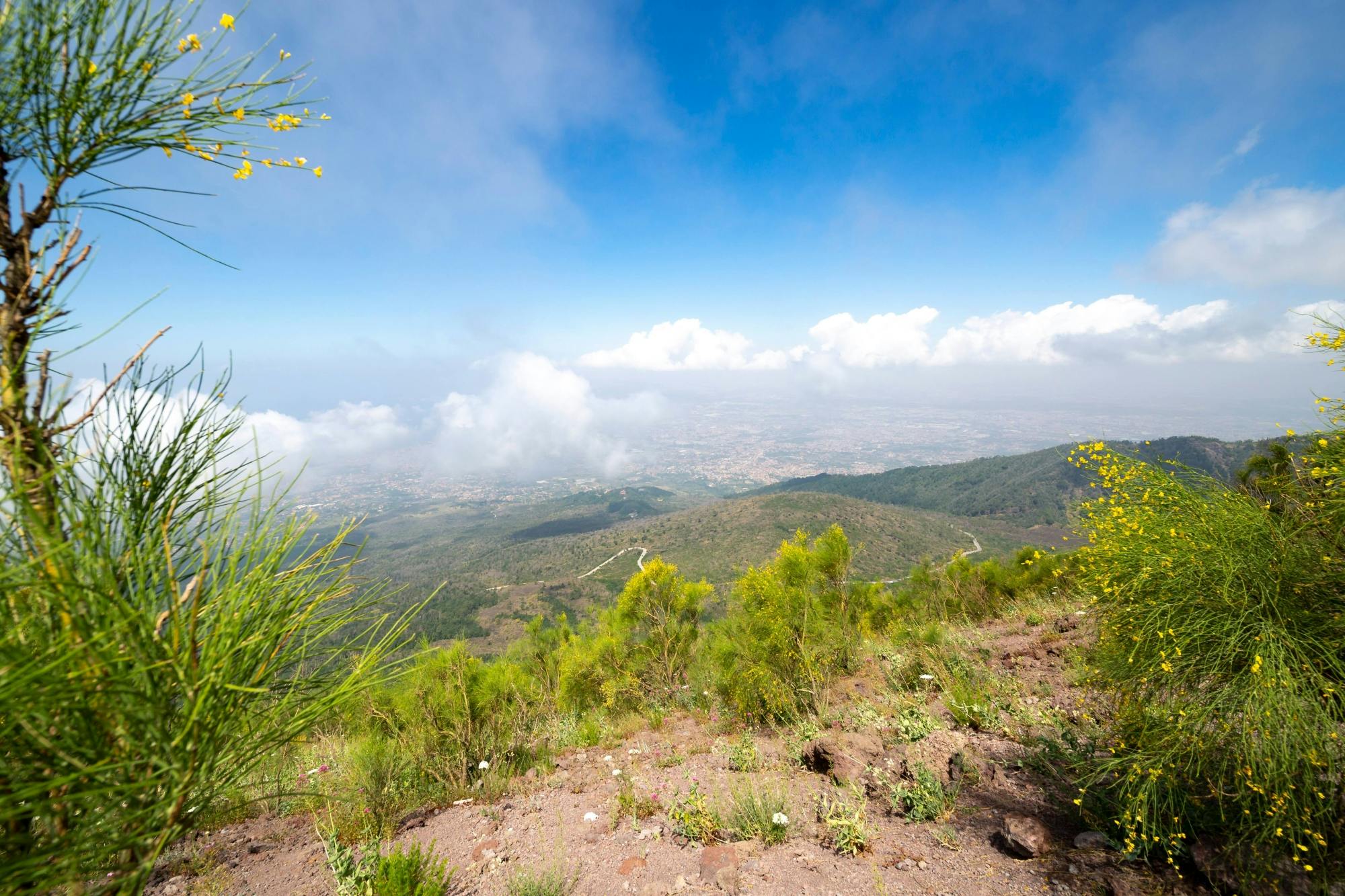 Private tour of Herculaneum and Mount Vesuvius