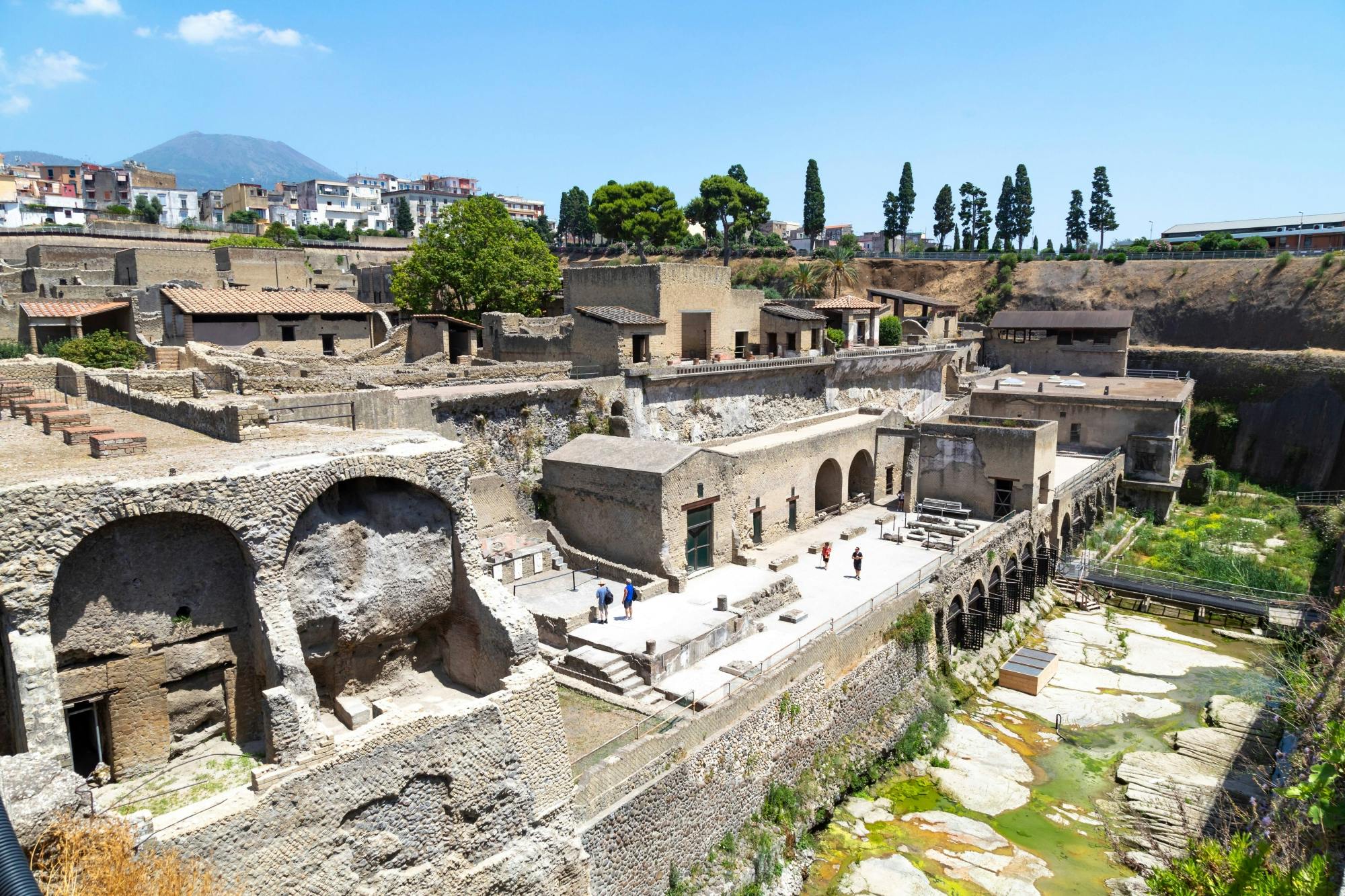 Private tour of Herculaneum and Mount Vesuvius