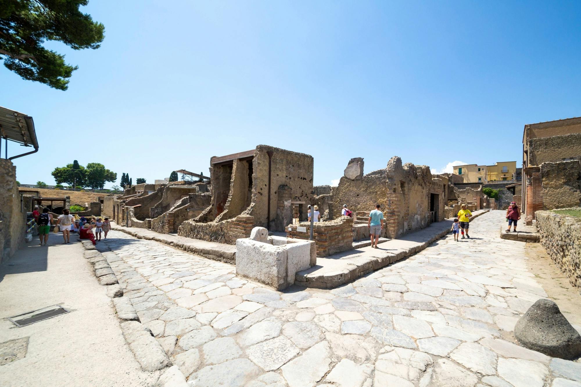 Private tour of Herculaneum and Mount Vesuvius