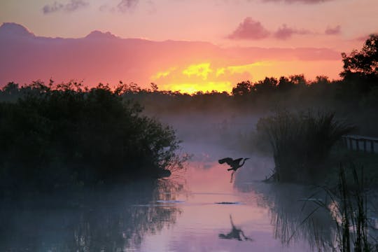 Excursão de áudio autoguiada pelo Parque Nacional Everglades