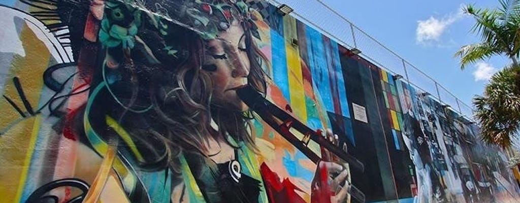 Visite à pied du meilleur de l'art de rue de Wynwood