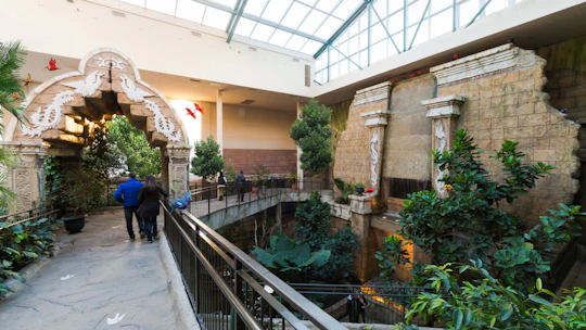 Bird Kingdom admission tickets