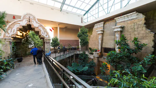 Bird Kingdom admission tickets