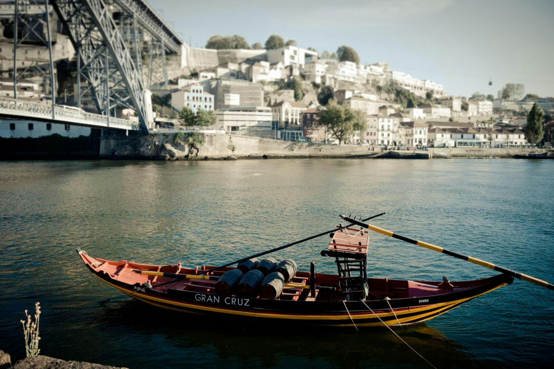 Half-day guided tour of Porto with 6 bridges' cruise and wine tasting