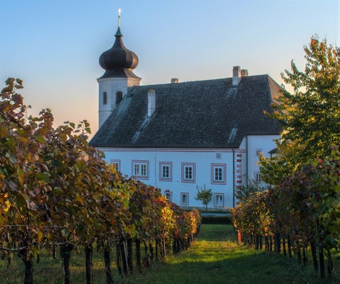 Tour privato del vino invernale nei boschi di Vienna
