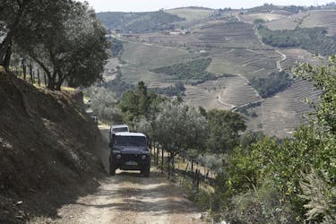 Private Douro Valley 4×4 full-day tour with wine tasting