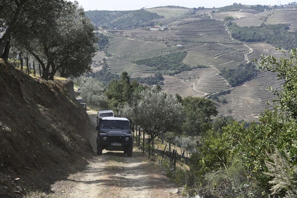 Tour privado de día completo en 4x4 por el valle del Duero con degustación de vinos