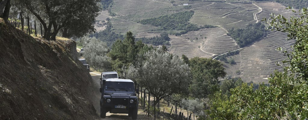 Private Douro Valley 4x4 full-day tour with wine tasting