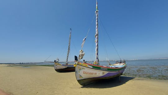 Cruzeiro guiado privado em um barco distinto no rio Tejo
