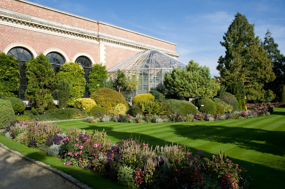 Leuven Botanical Gardens Tours  musement