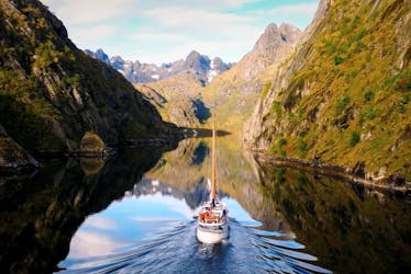 Trollfjord en velero desde Svolvaer con guía y comida local