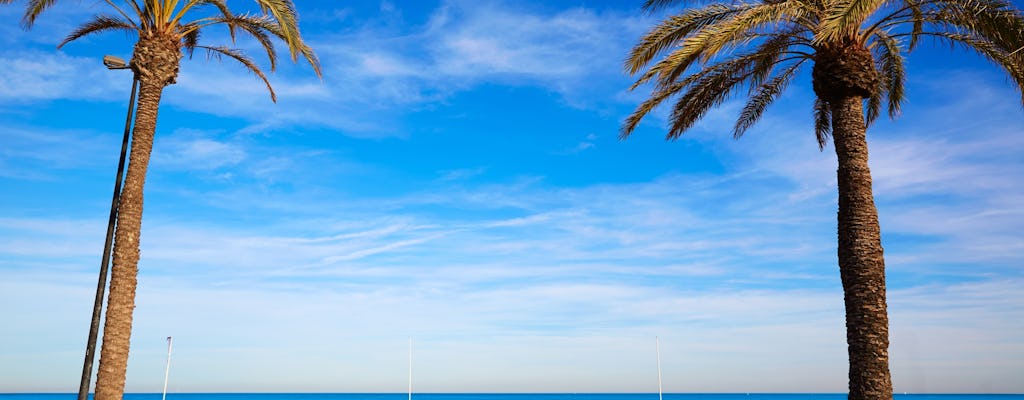 Festa in crociera di un giorno con pranzo a base di paella e cocktail a Valencia