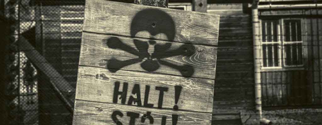Krakow and Auschwitz Small Group Tour from Warsaw with Pick-up and Lunch
