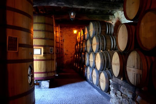 Visite en bus de 48 heures de Porto avec croisière fluviale et visite de caves à vin