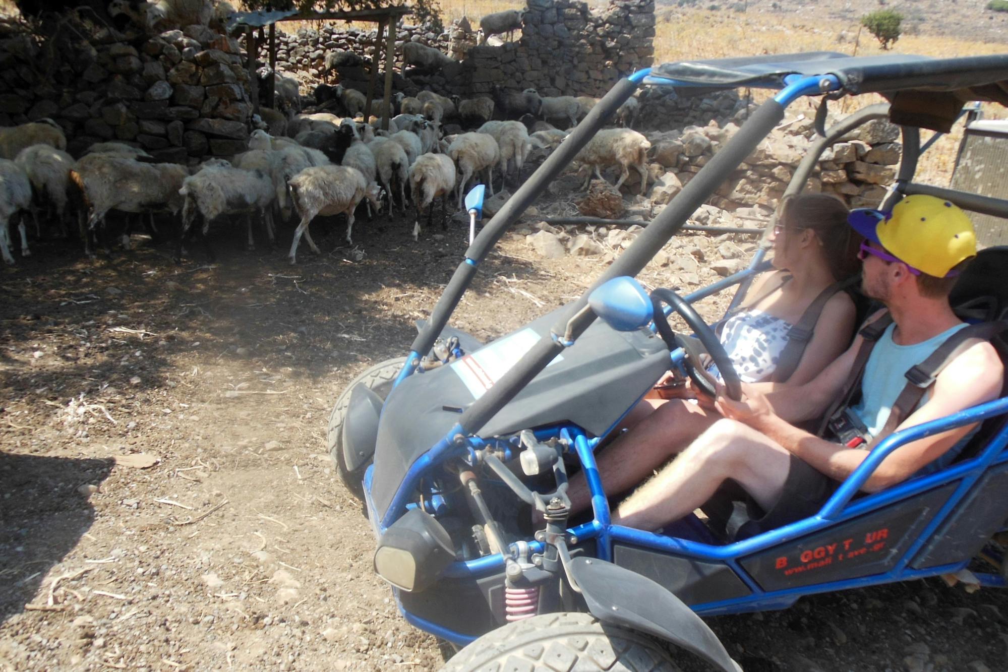 Crete Buggy Safari from Malia