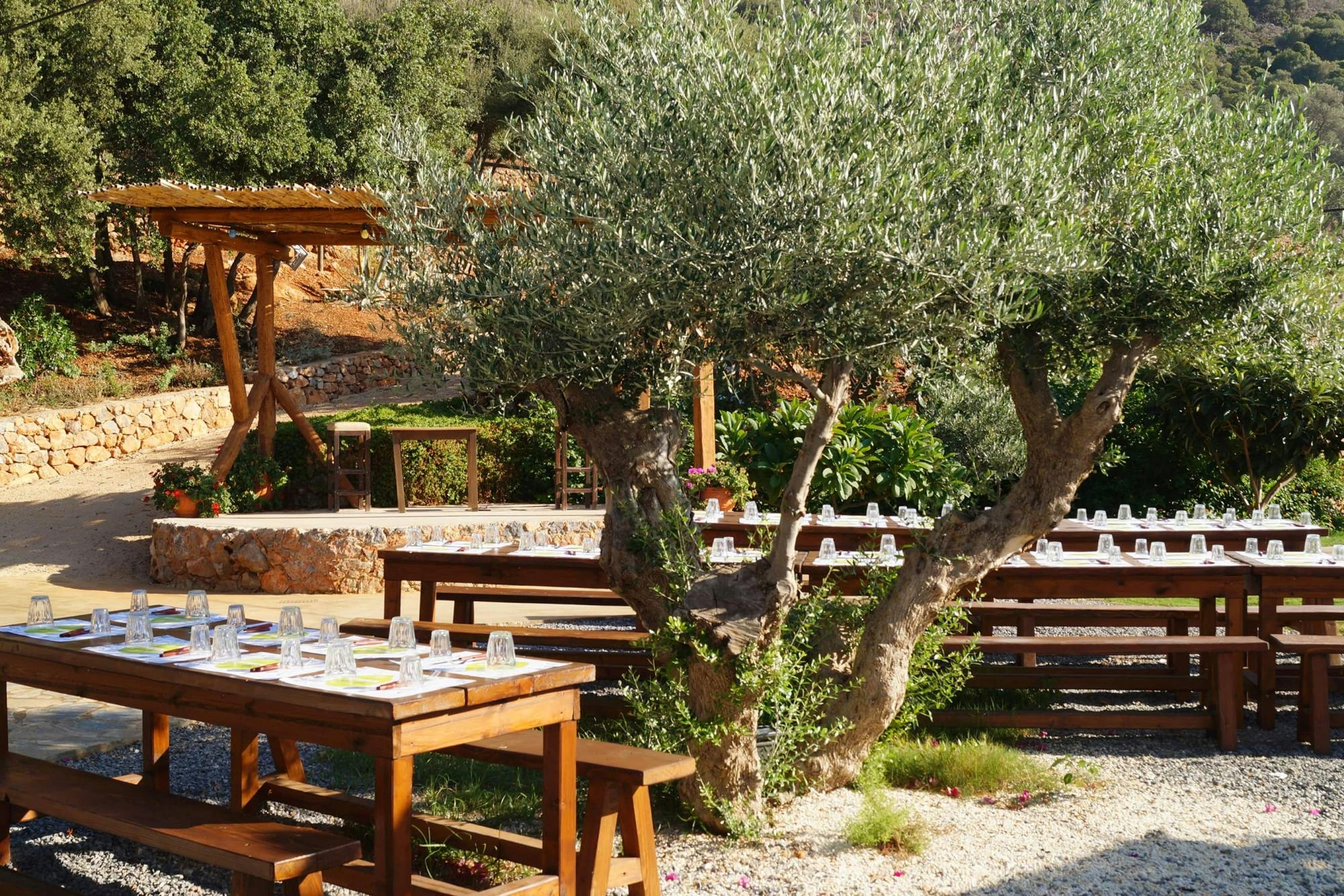 Cretan Evening Events at Lyrakis Family Estate