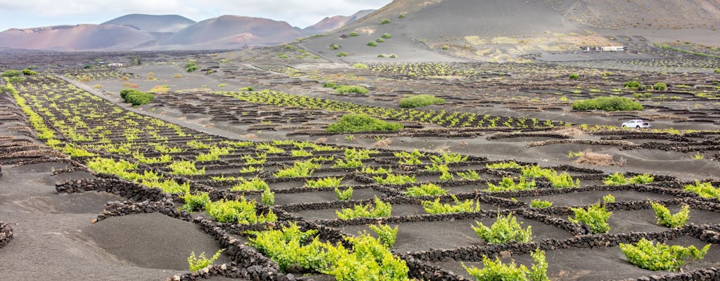 Visite du sud de Lanzarote