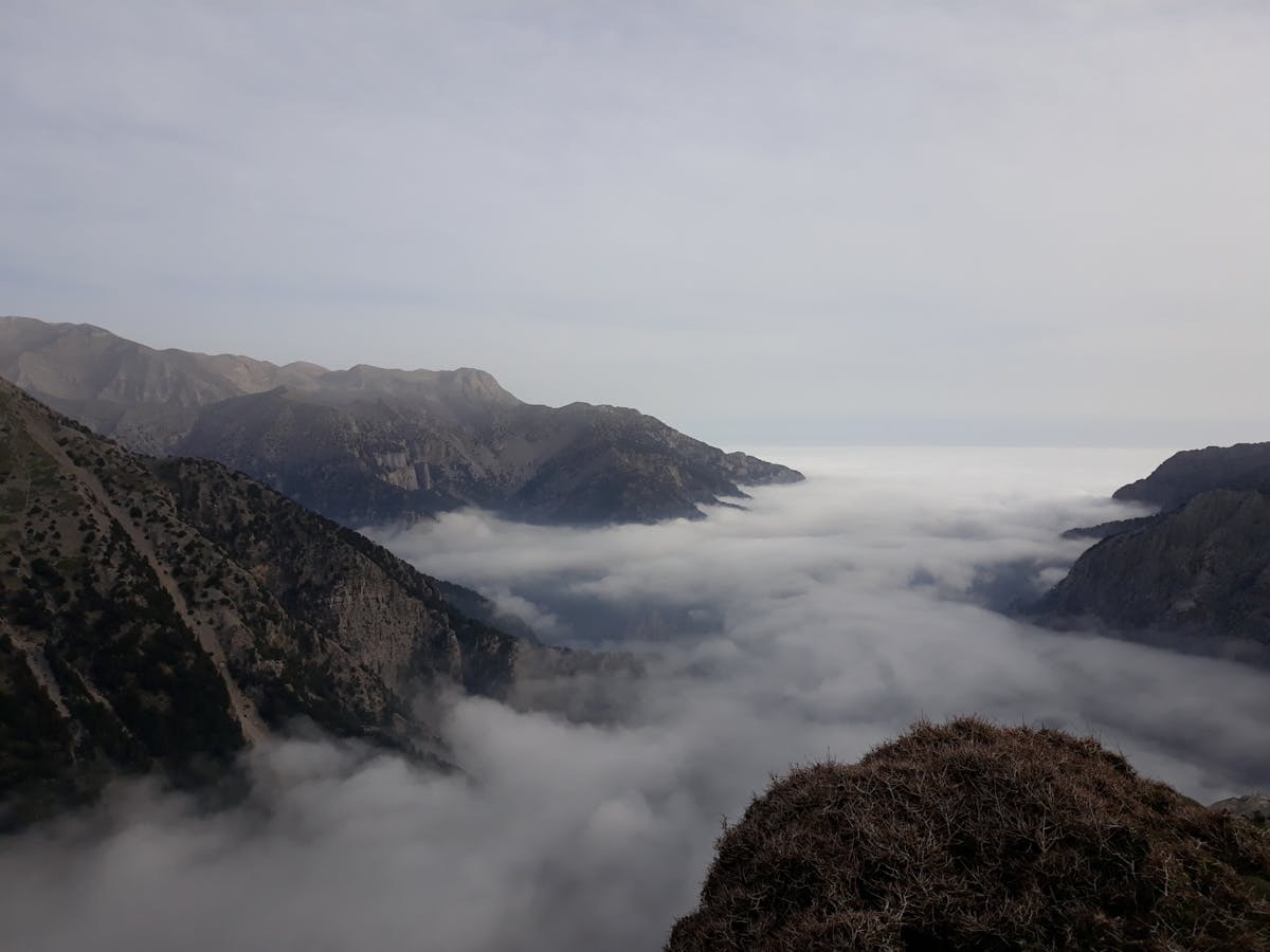 White Mountains kleine groepstour met proeverijen en lunch