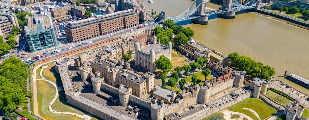 Guided tour of Westminster, river cruise and tickets to The Tower of London
