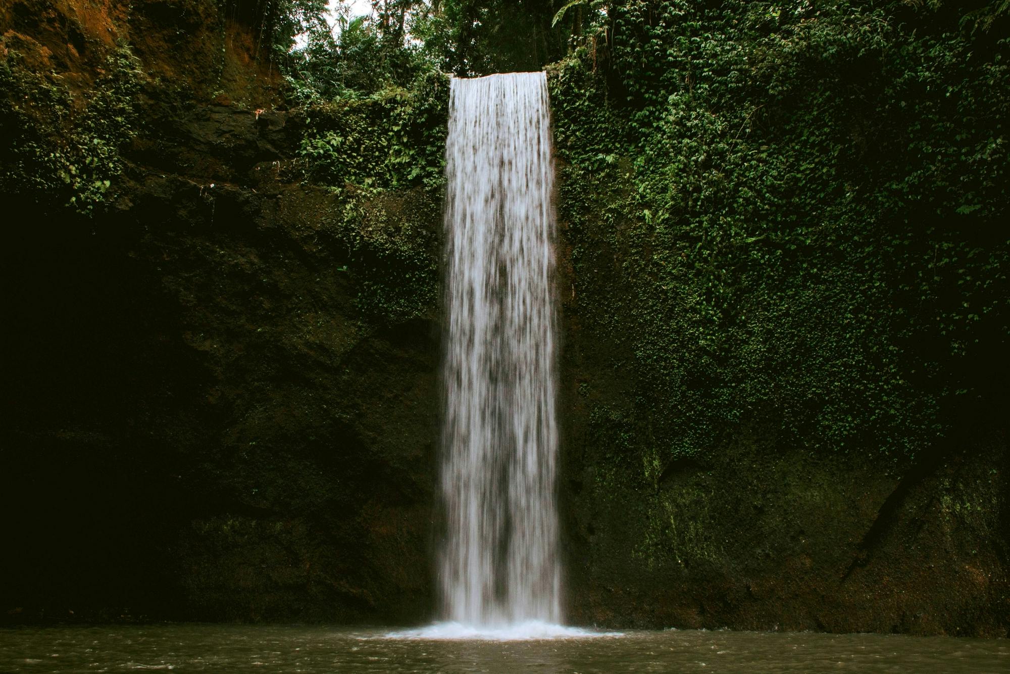 Tour delle cascate di Bali